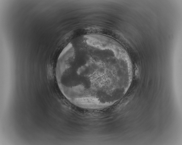 X0000112950819200909141406