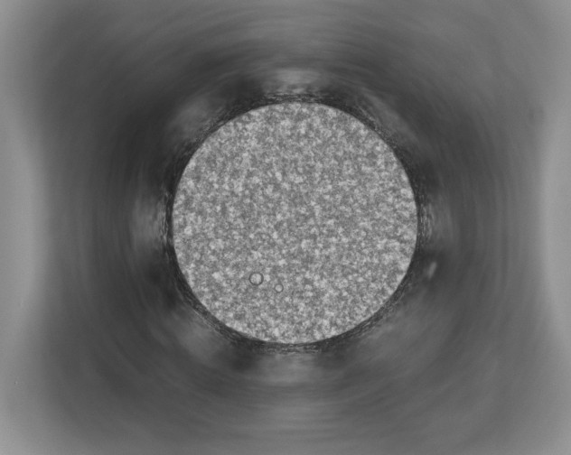 X0000112950820200909141406