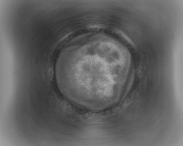 X0000112950821200909141406