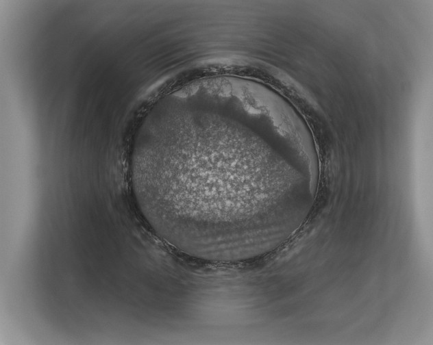 X0000112950822200909141406