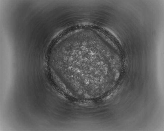 X0000112950823200909141406