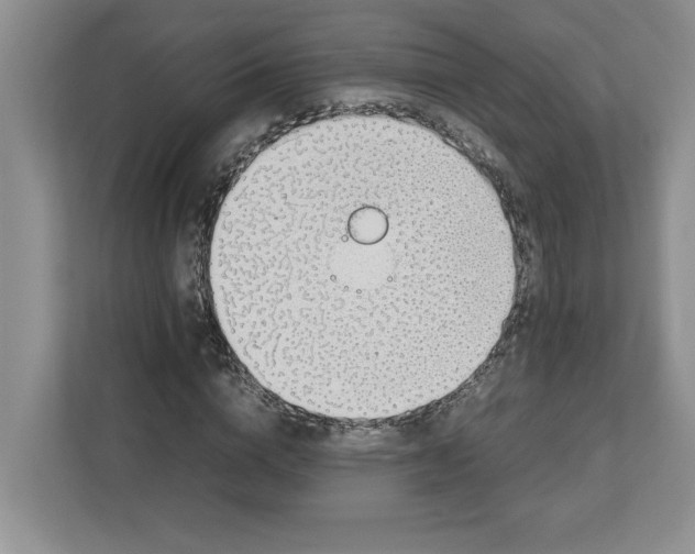 X0000112950824200909141406