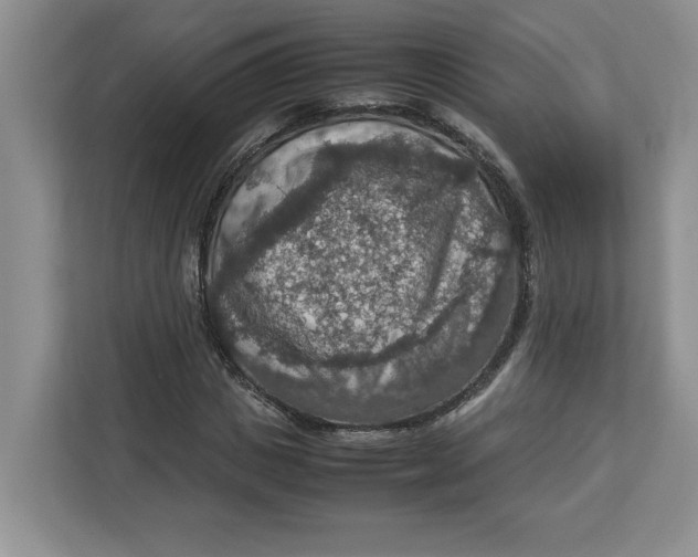 X0000112950825200909141406