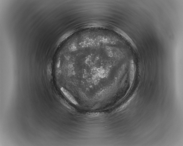 X0000112950826200909141406