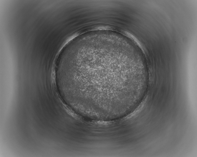 X0000112950827200909141406