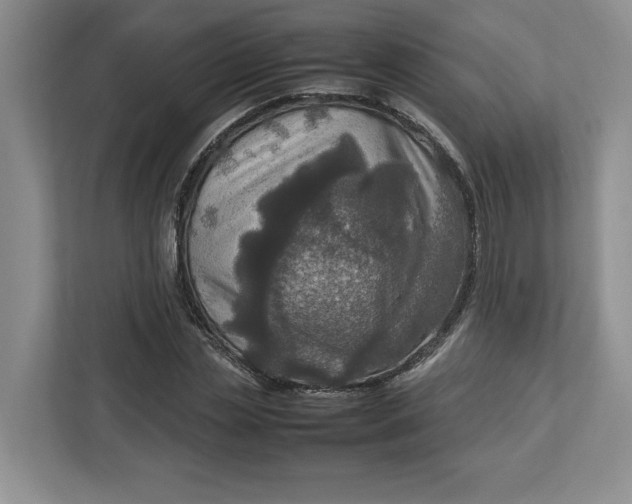 X0000112950829200909141406