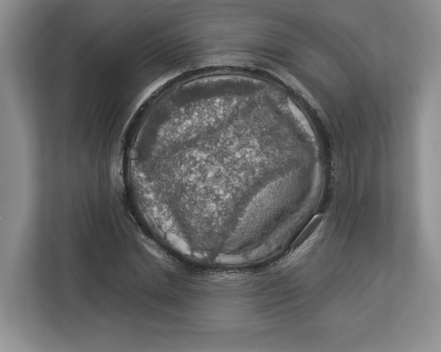 X0000112950830200909141406