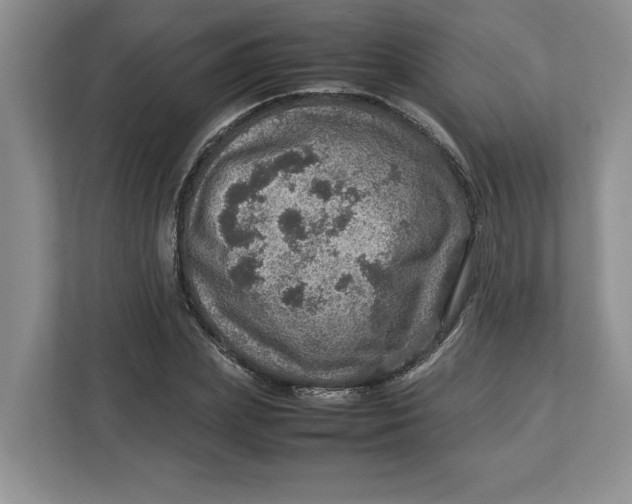 X0000112950831200909141406