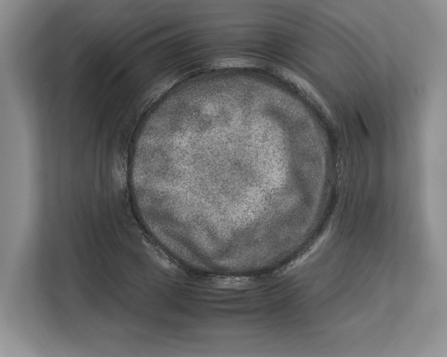 X0000112950833200909141406