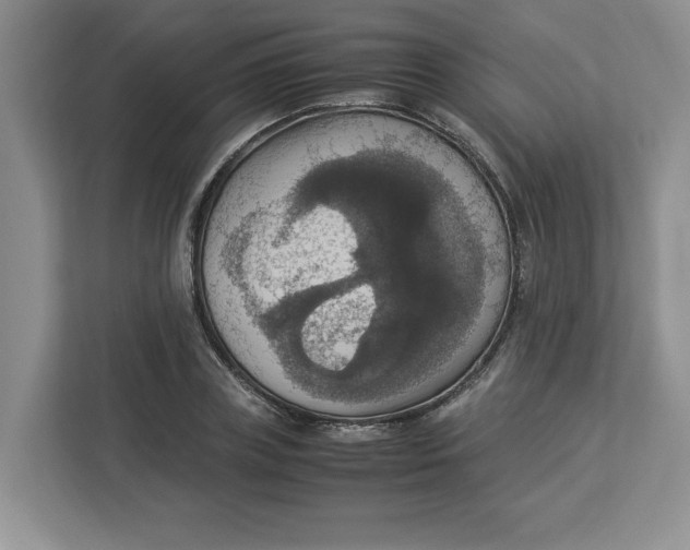 X0000112950835200909141406