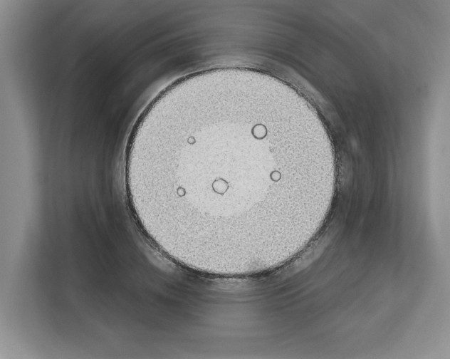 X0000112950836200909141406