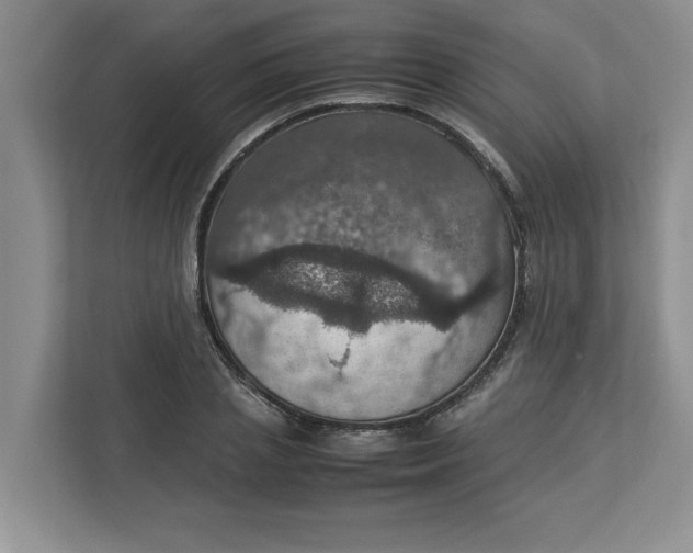 X0000112950837200909141406