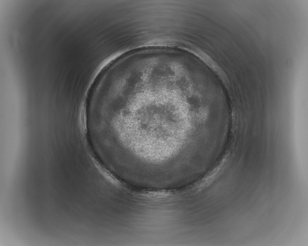 X0000112950838200909141406