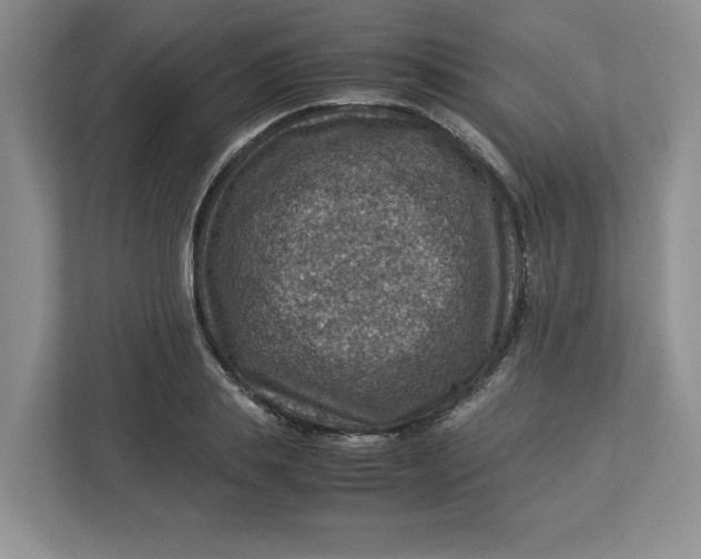 X0000112950839200909141406