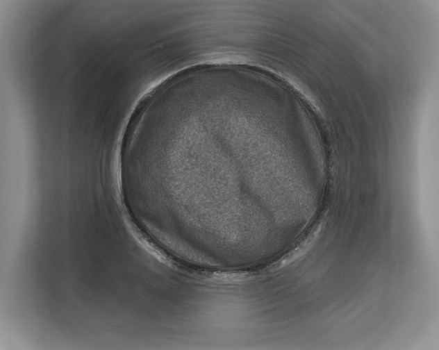 X0000112950840200909141406