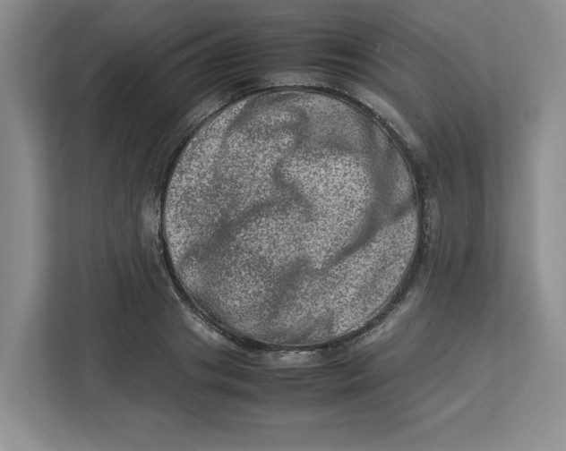 X0000112950841200909141406