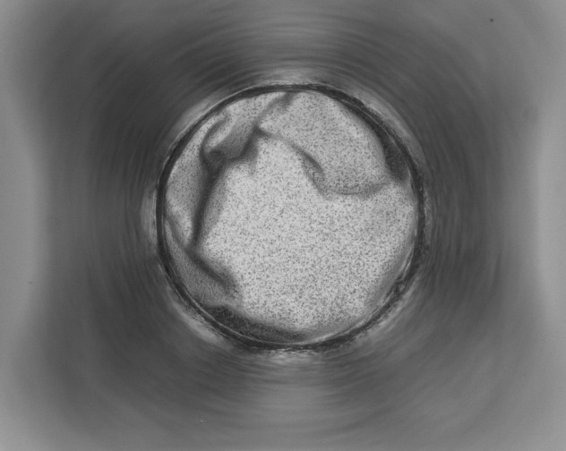 X0000112950842200909141406