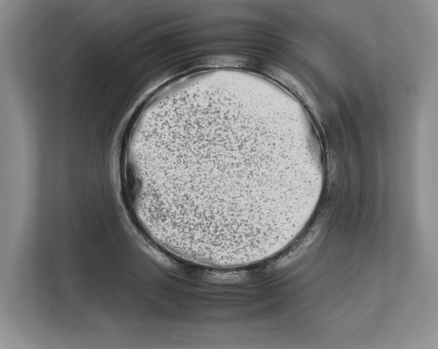 X0000112950843200909141406