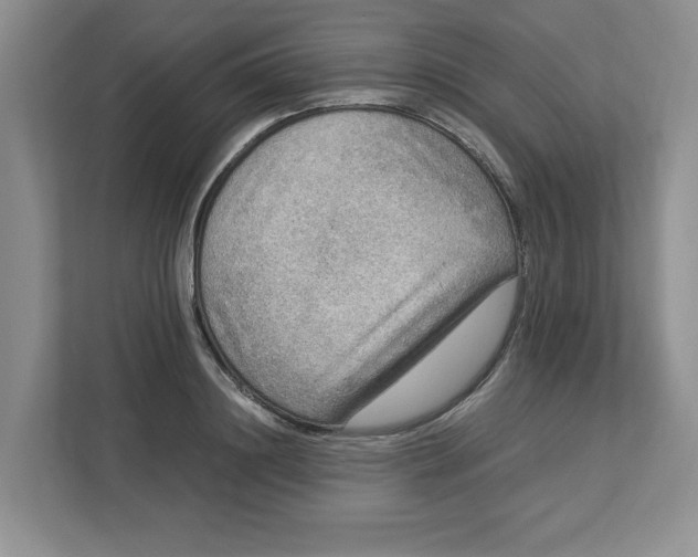 X0000112950844200909141406