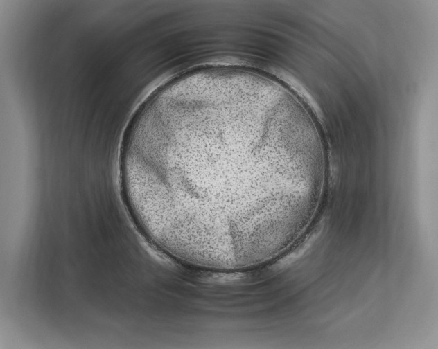 X0000112950845200909141406