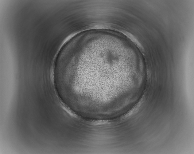 X0000112950846200909141406