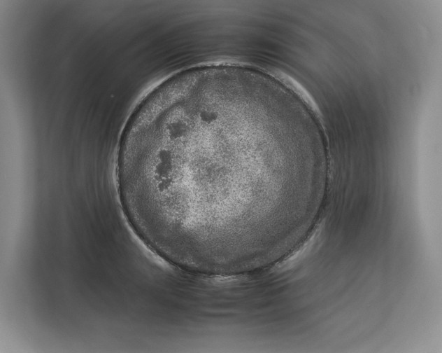 X0000112950847200909141406