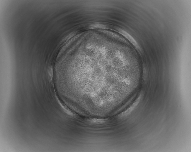 X0000112950849200909141406