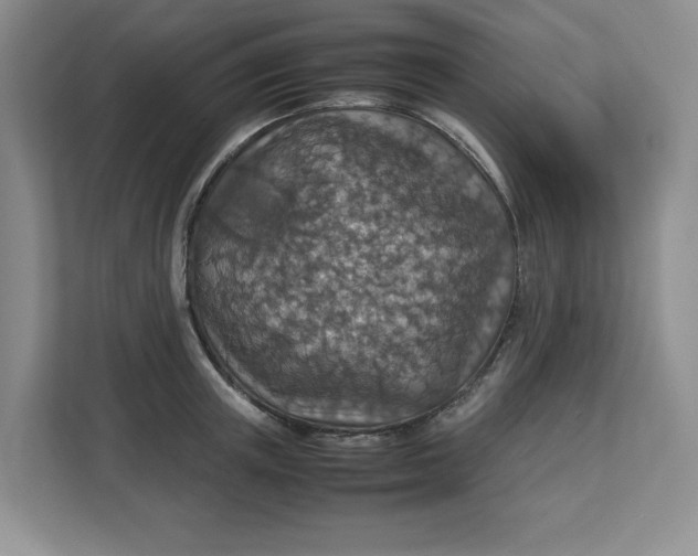 X0000112950851200909141406