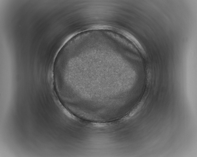 X0000112950852200909141406