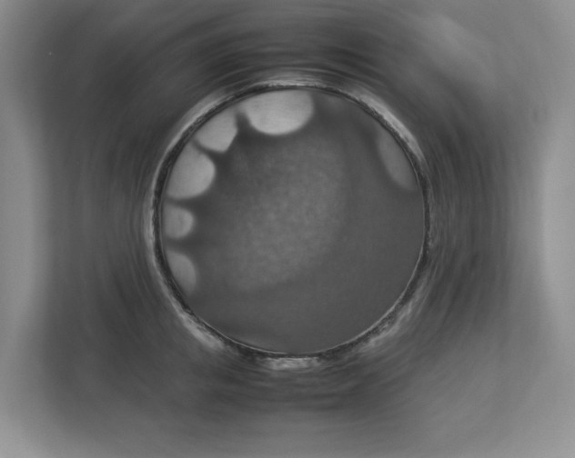 X0000112950853200909141406