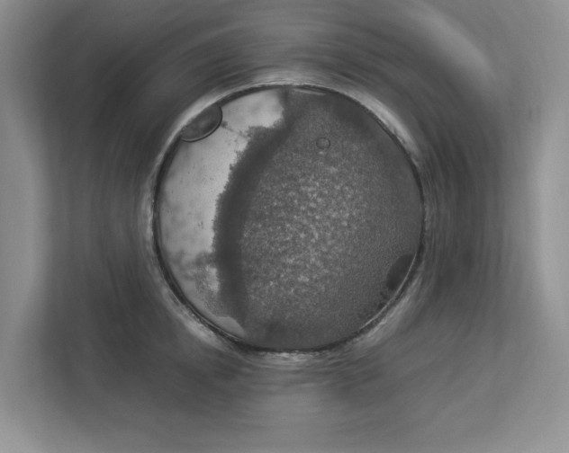 X0000112950854200909141406