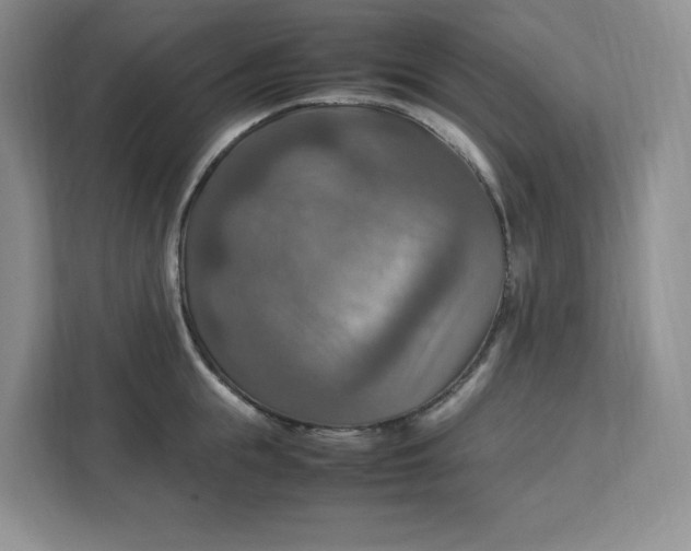 X0000112950855200909141406