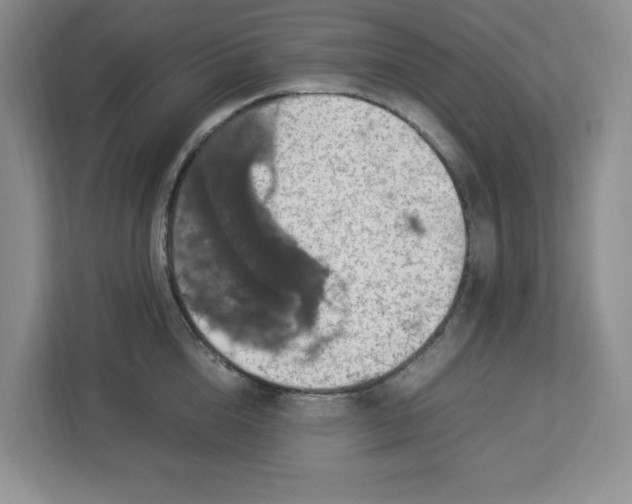 X0000112950856200909141406