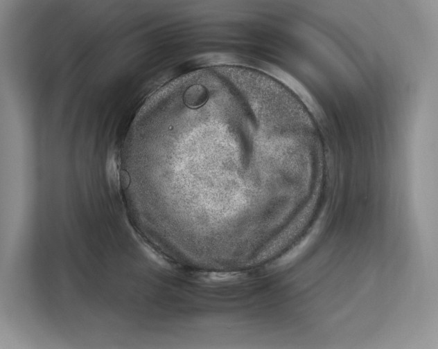 X0000112950857200909141406