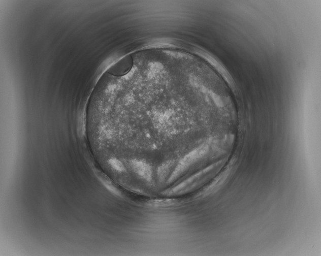 X0000112950858200909141406