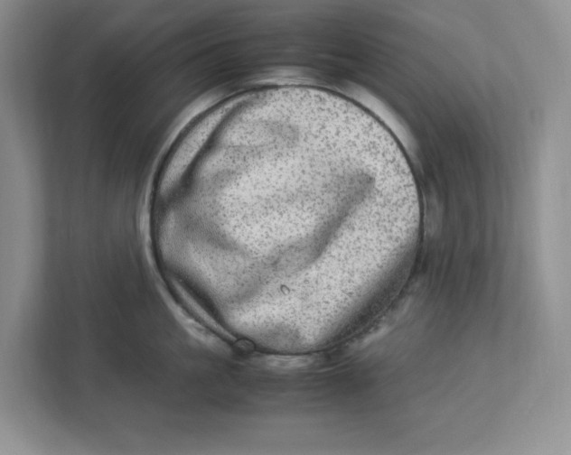 X0000112950861200909141406