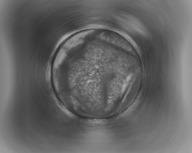 X0000112950862200909141406