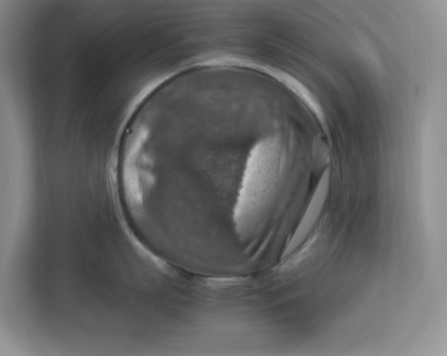 X0000112950863200909141406