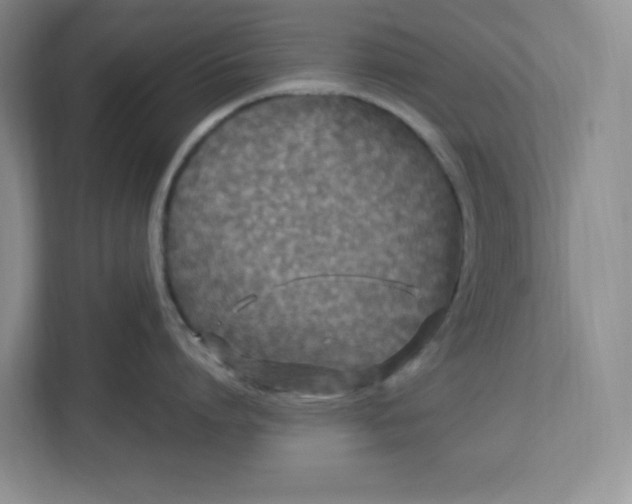 X0000112950864200909141406