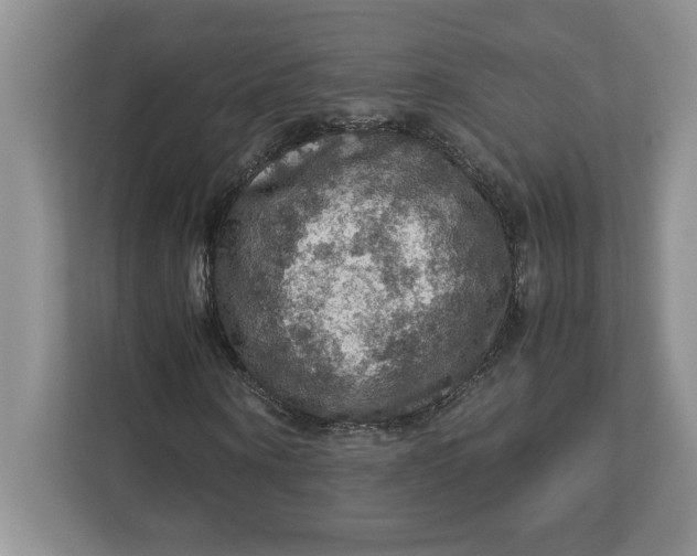 X0000112950866200909141406