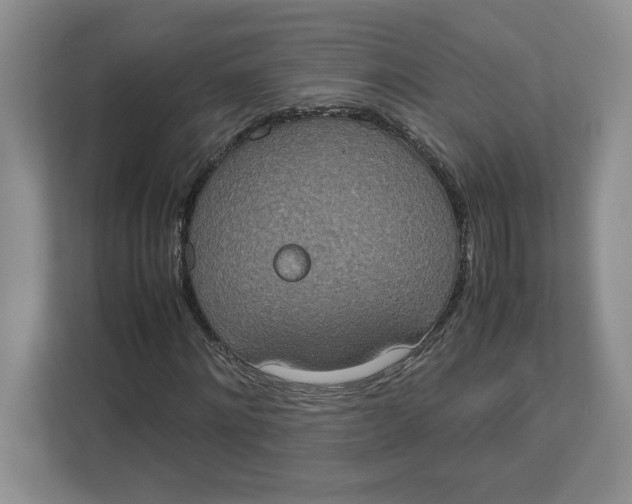 X0000112950868200909141406