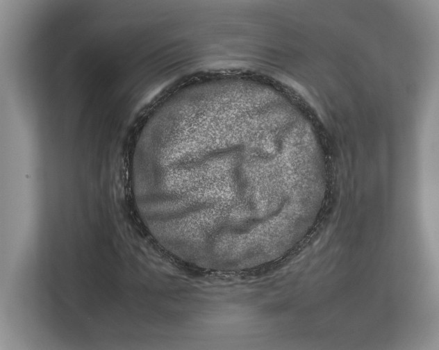 X0000112950871200909141406