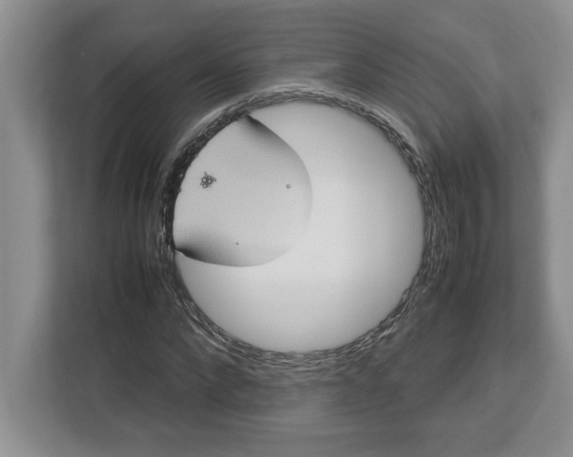 X0000112950872200909141405