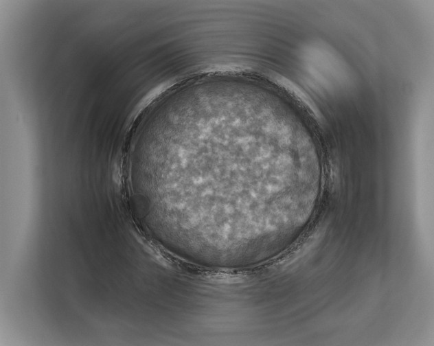 X0000112950874200909141405