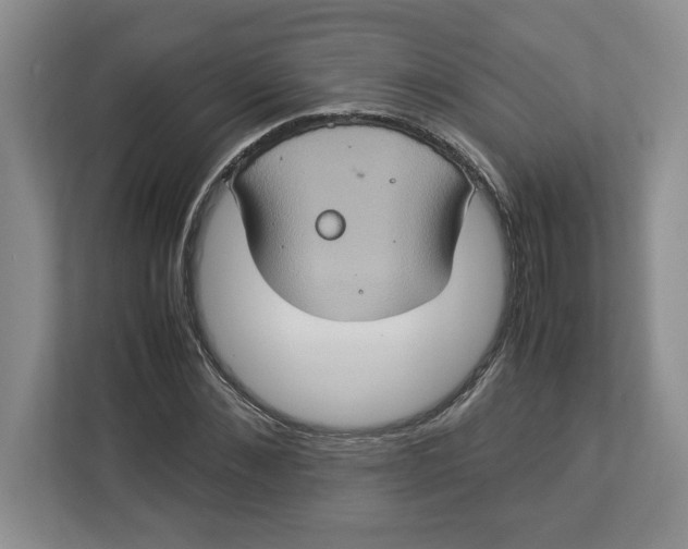 X0000112950876200909141405