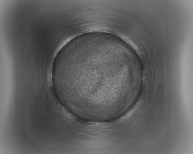 X0000112950877200909141405