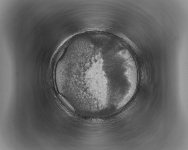 X0000112950878200909141405