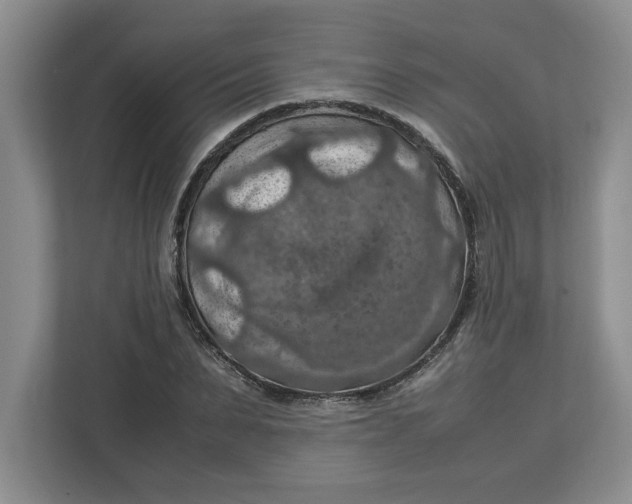 X0000112950879200909141405