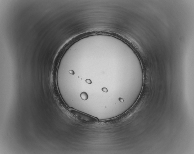 X0000112950880200909141405