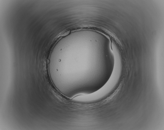 X0000112950881200909141405